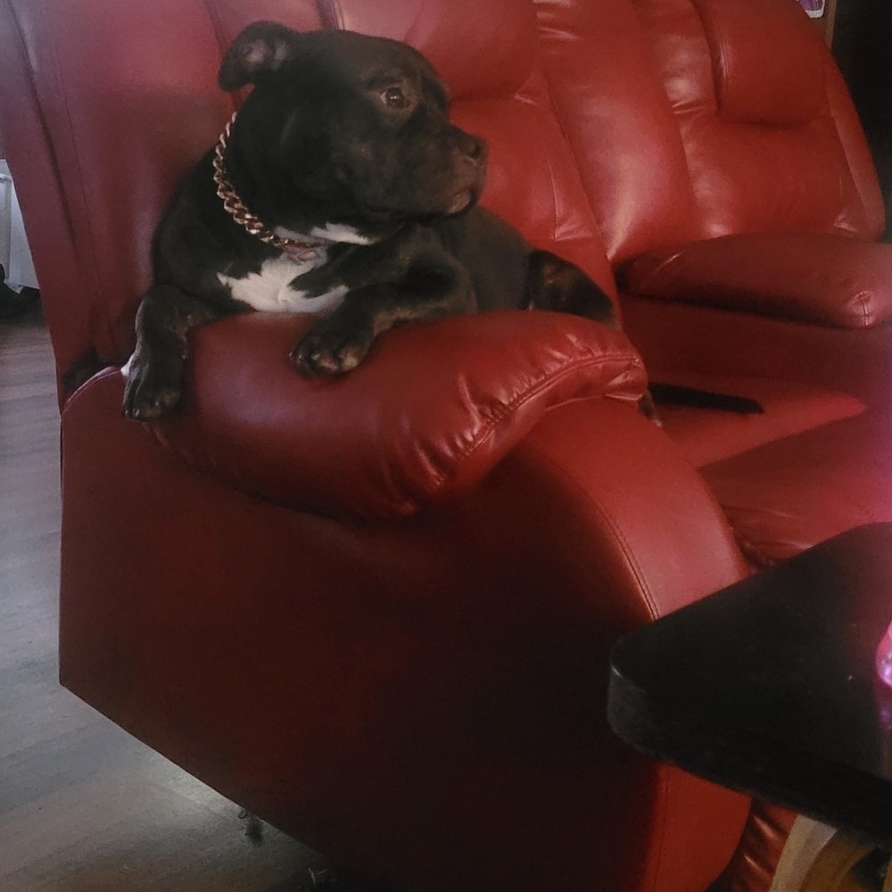 Meet your Posher, Kay`